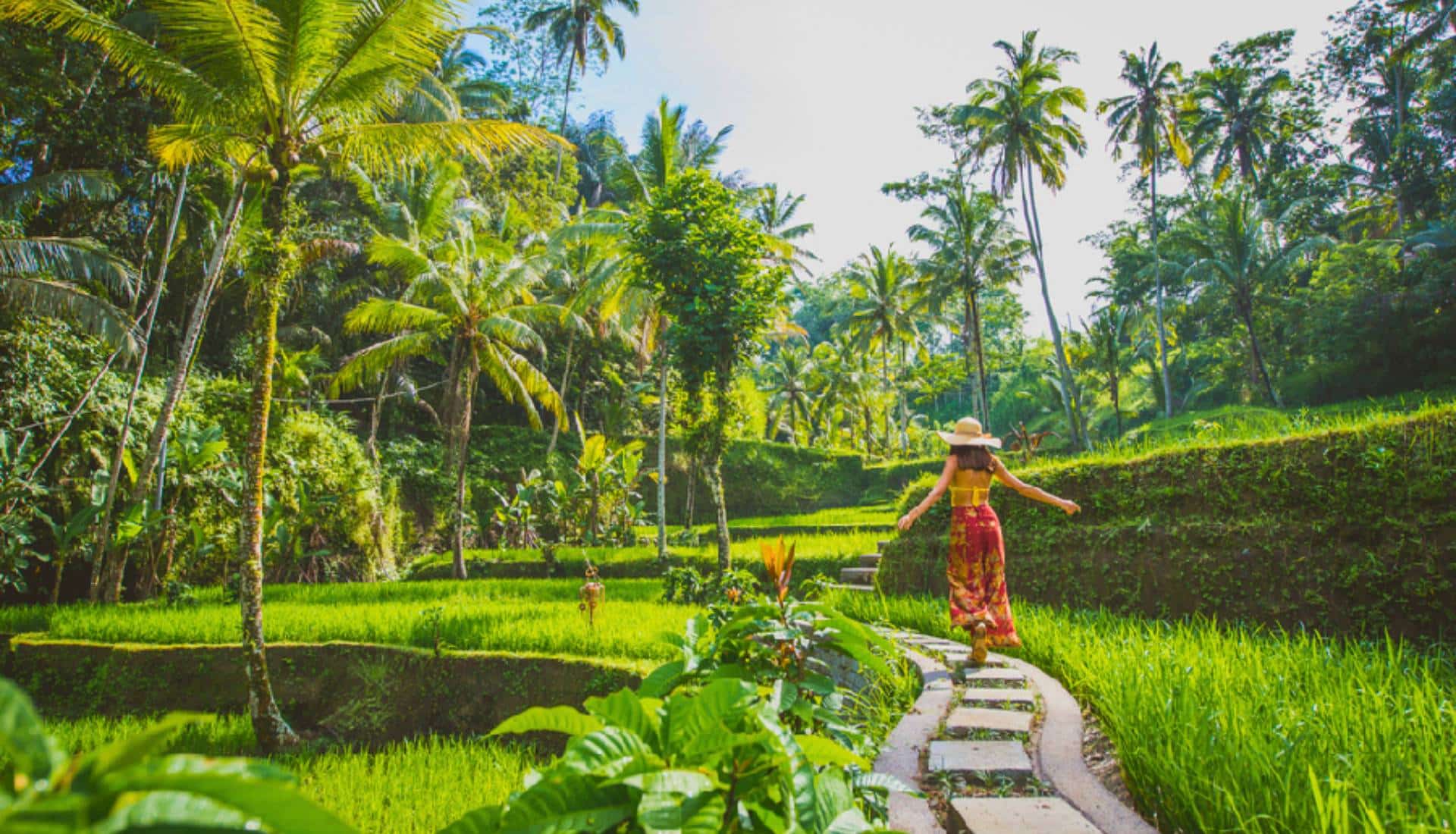 Ubud woman in Rice Fields