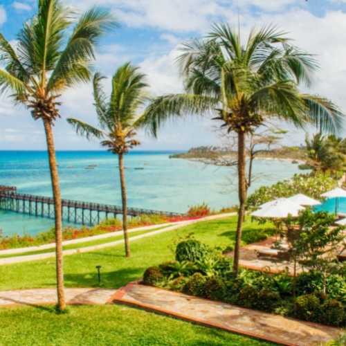 Garden at the Sea Cliff Zanzibar