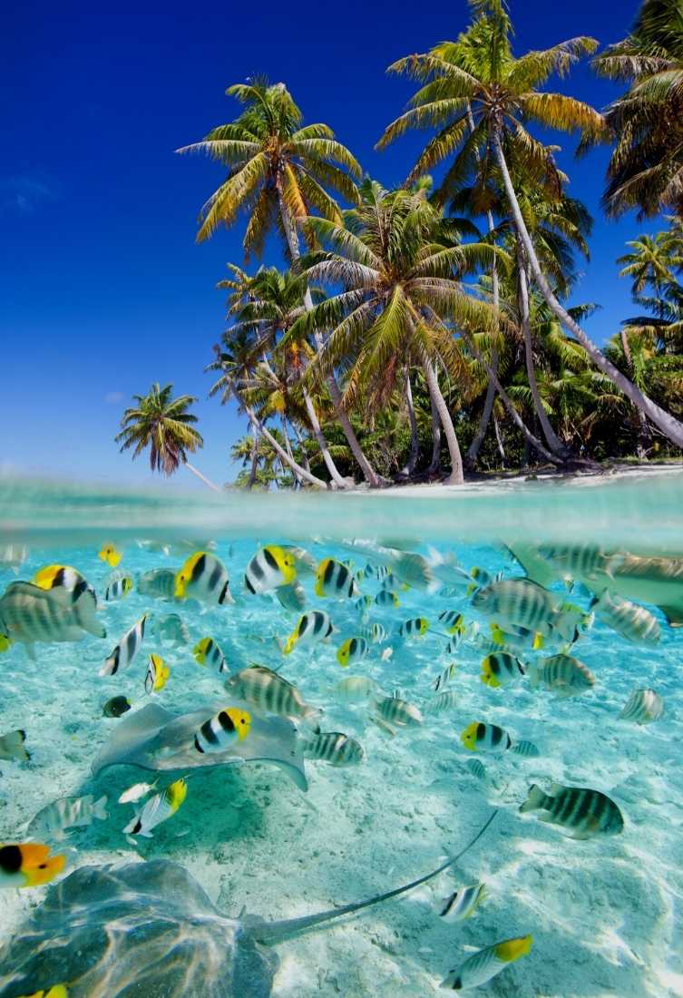 Zanzibar packages