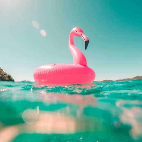 pink flamingo floatie