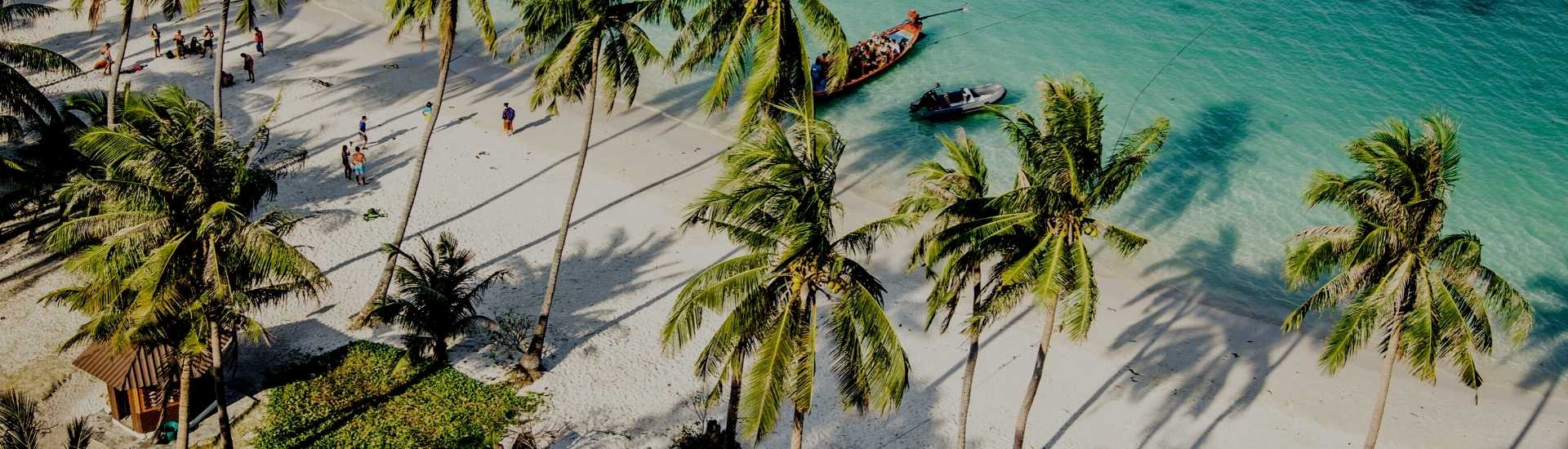 Thailand palm trees on the beach