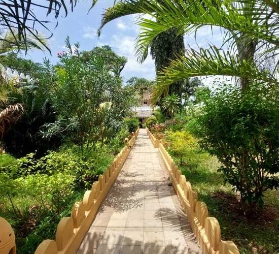 Beach path Zanzibar Amaan