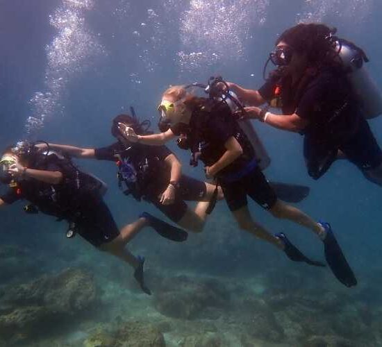 Scuba Diving in Phi Phi group of 4