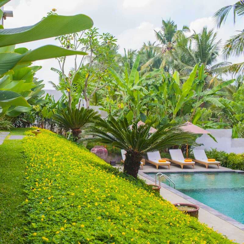 Pertiwi Bisma 1 3 WOLO Travel