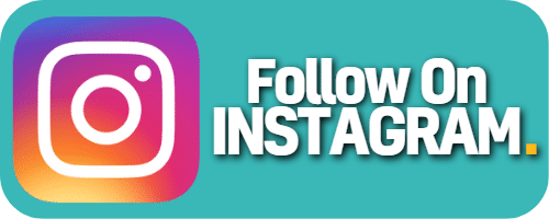 INSTAGRAM FOLLOW BUTTON