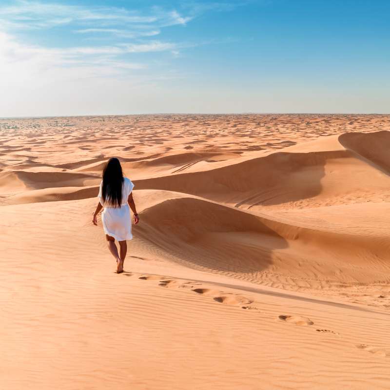 Desert Safari Experience 3 WOLO Travel