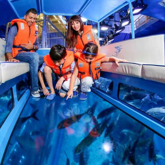 Dubai Aquarium & Underwater Zoo Experience