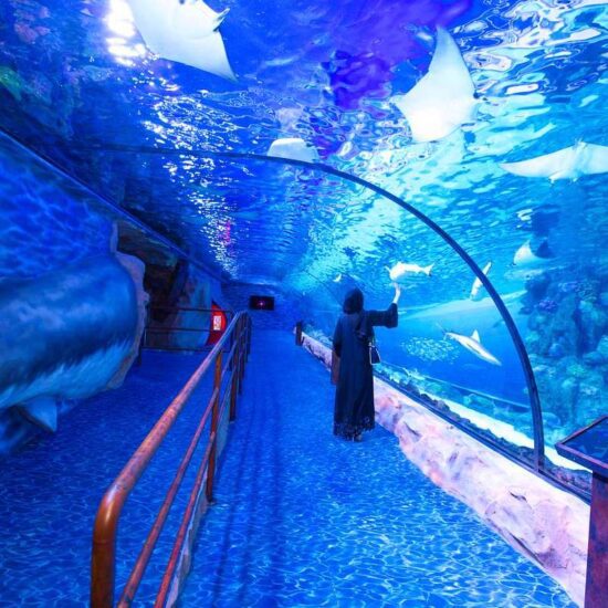 Dubai Aquarium & Underwater Zoo Experience