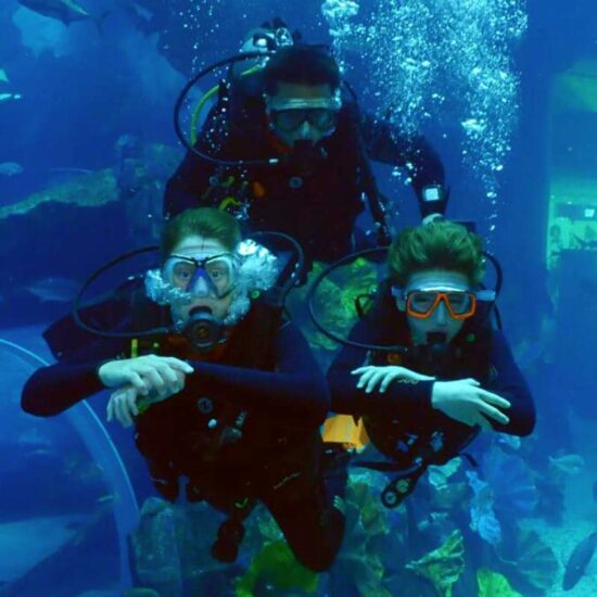 Scuba diving in Dubai Aquarium