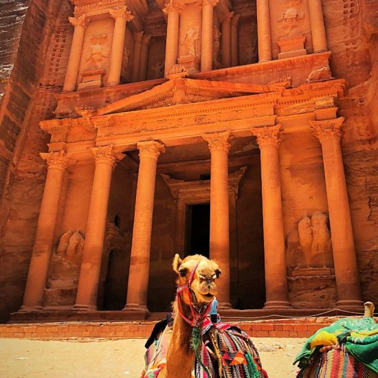 Camel outside a ruin in Petra