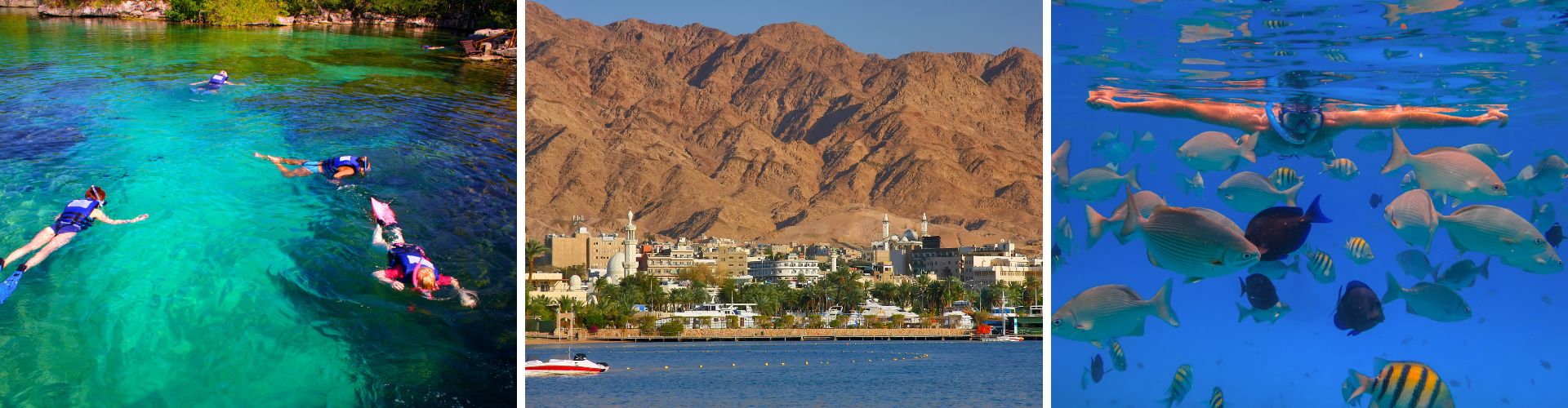 Aqaba people snorkeling