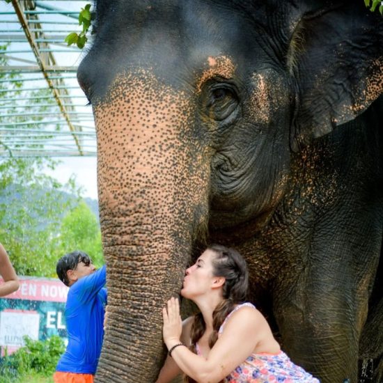 Elephant Jungle Sanctuary