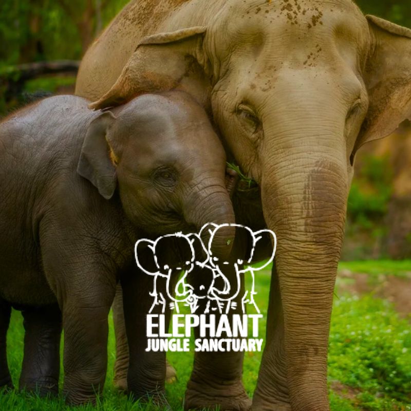 Ao Nang Elephant Sanctuary 1 1