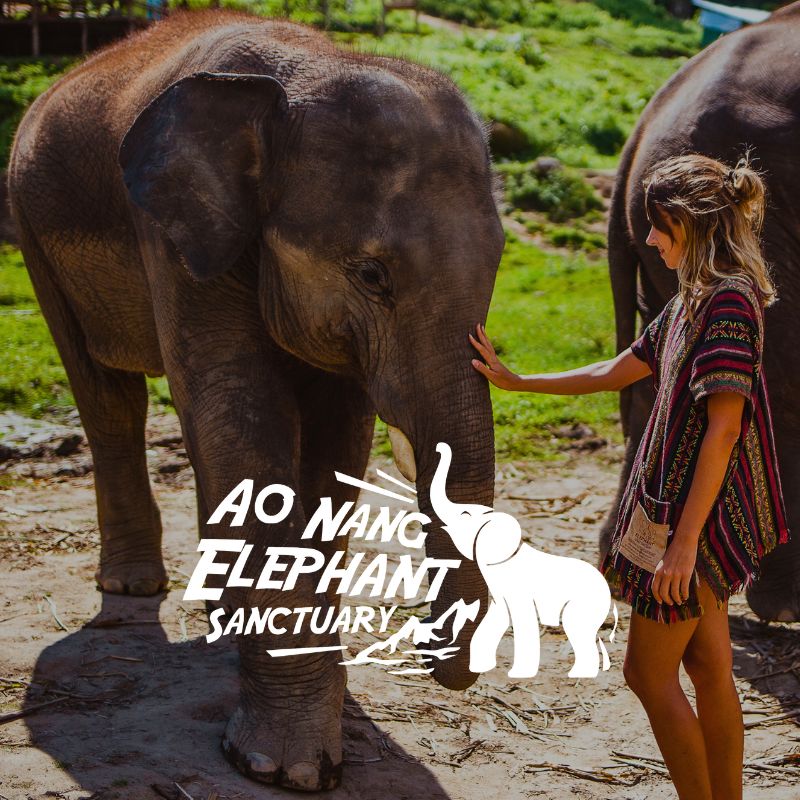 Ao Nang Elephant Sanctuary 1