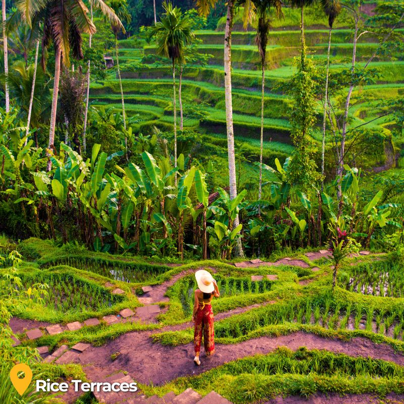 Bali Cultural 4 WOLO Travel