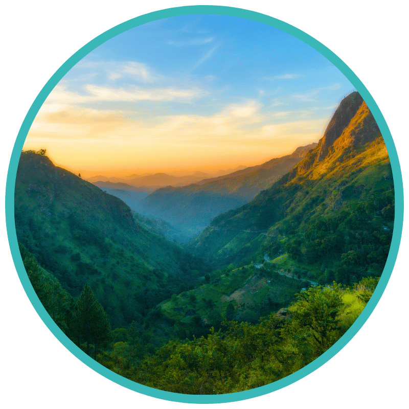 Ella’s Scenic Vistas