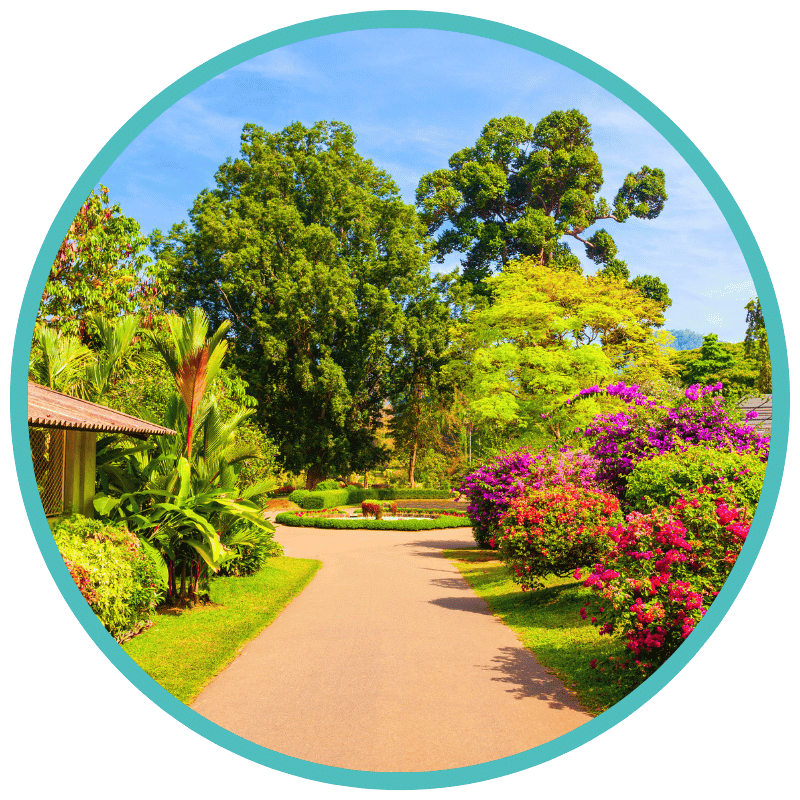 Royal Botanic Gardens Peradeniya WOLO Travel
