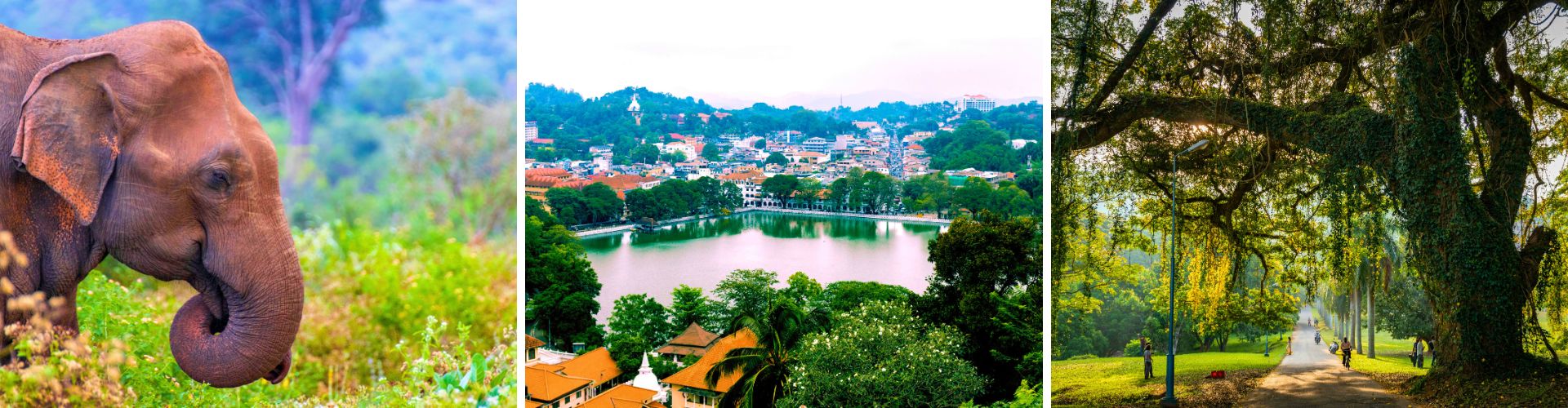 Sri Lanka Day 2 WOLO Travel