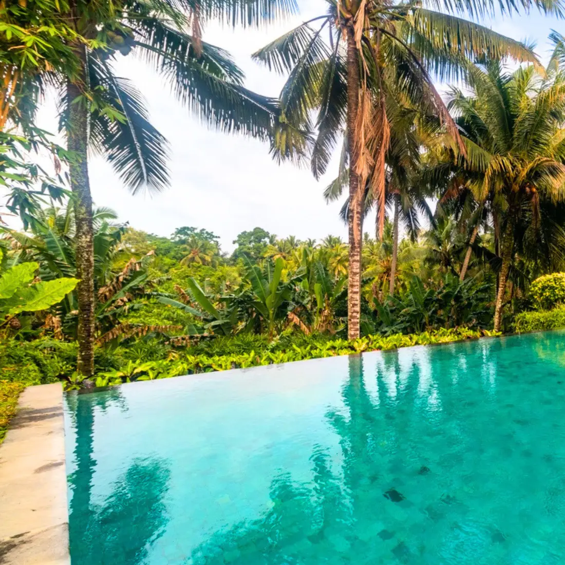 Pertiwi Bisma website 2025 cropped 003