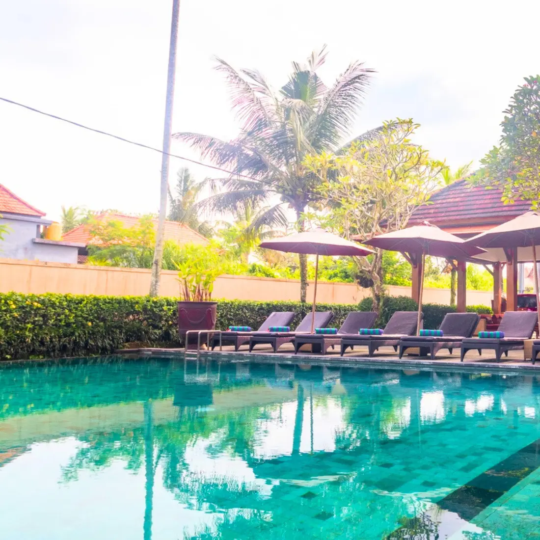 Pertiwi Bisma website 2025 cropped 004