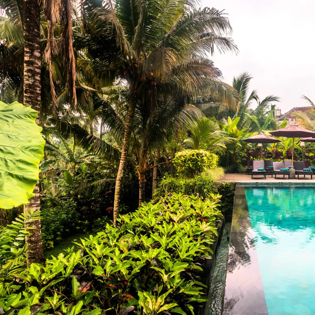 Pertiwi Bisma website 2025 cropped 006