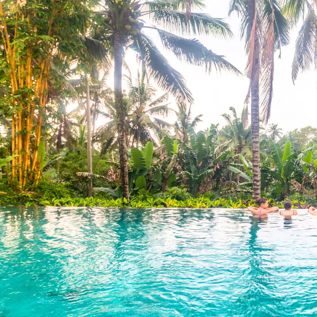 Pertiwi Bisma website 2025 cropped 007