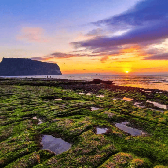 Sunset over mossy rocky shoreline