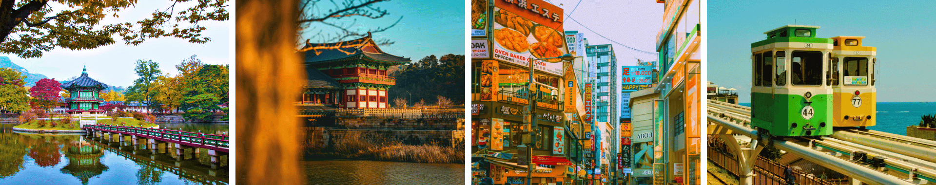 Vibrant scenes of Asian culture.