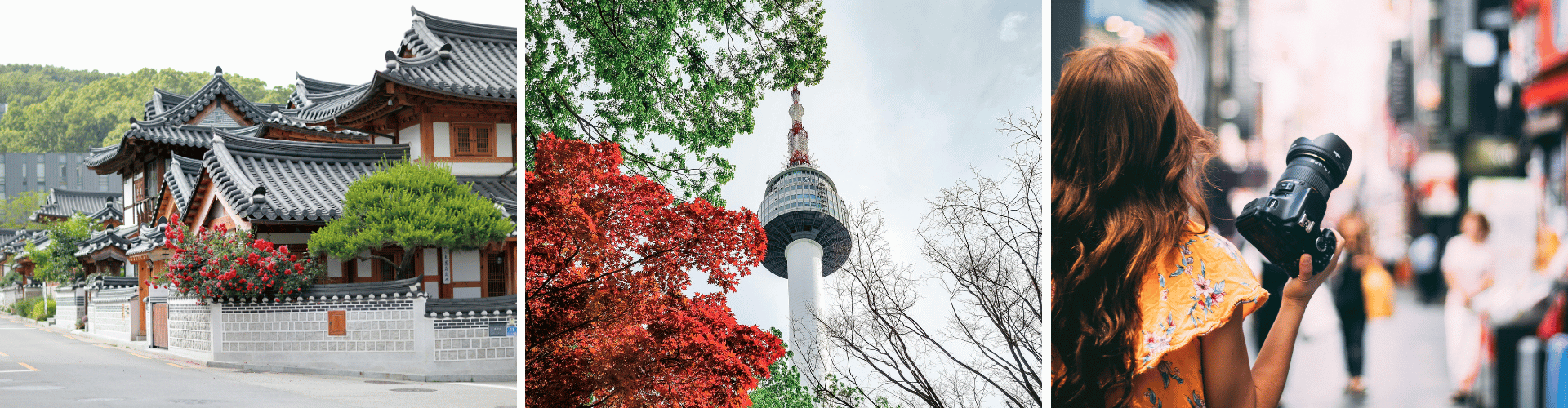 SKH Day 8 WOLO Travel