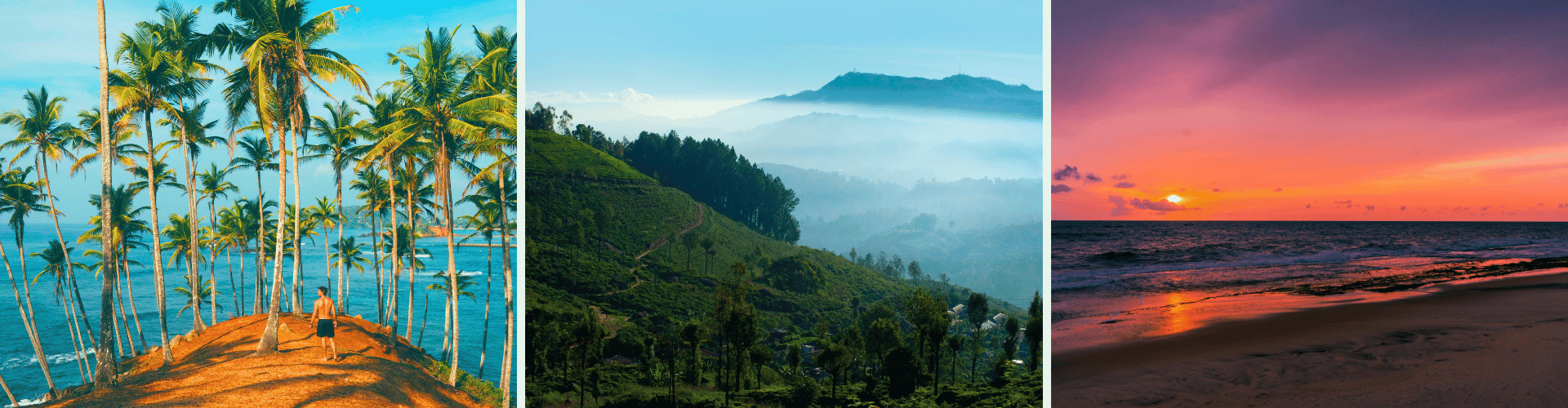 Sri Lanka Day 8 WOLO Travel