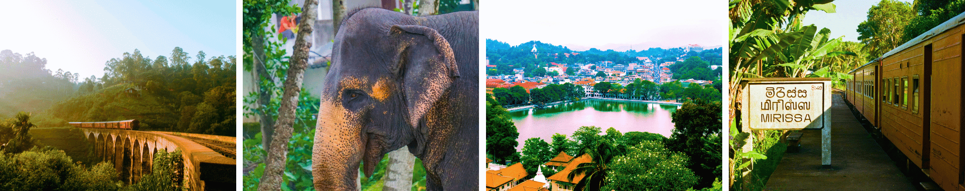 Tea Hills Beaches WOLO Travel