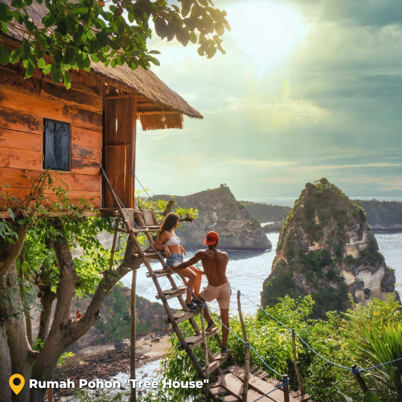 Rumah Pohon Tree House WOLO Travel