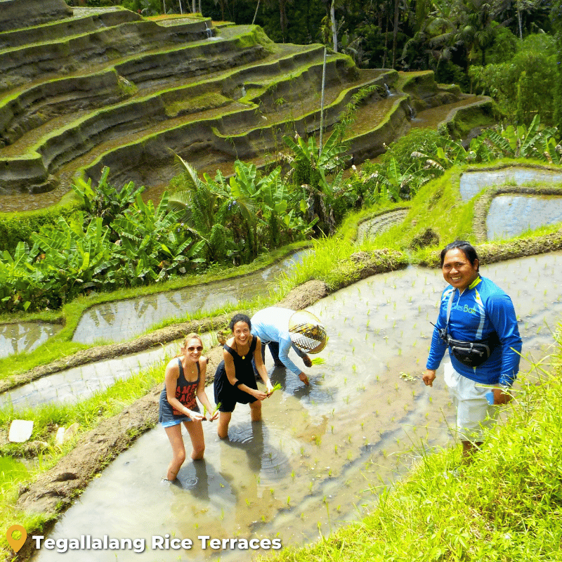 eBikes Ubud to Tegallalang Rice Terraces Tour 3