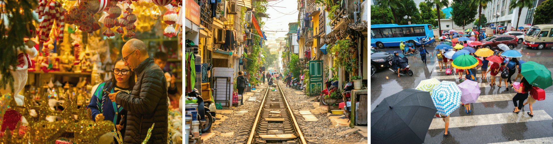 NVH Day 8 WOLO Travel