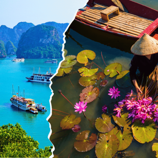 Vietnam Encompassed WOLO Travel