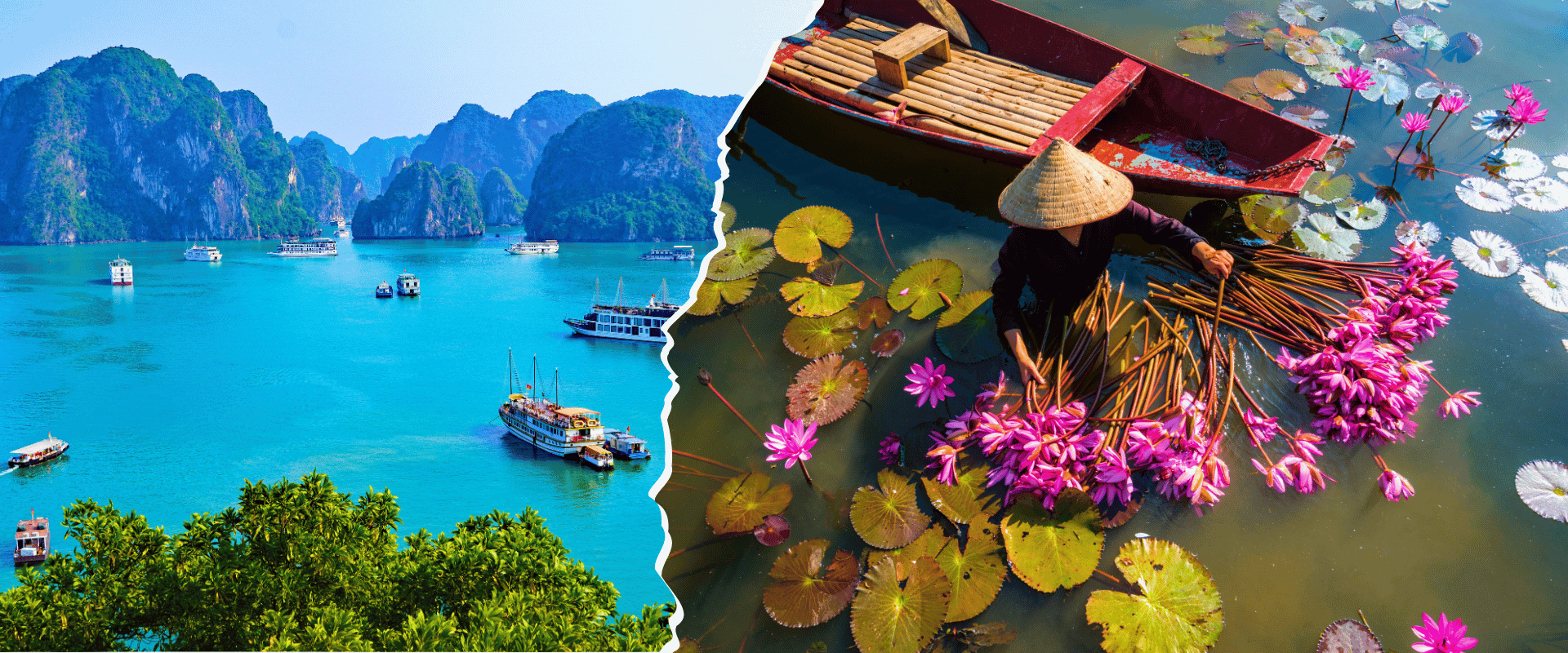 Vietnam Encompassed WOLO Travel