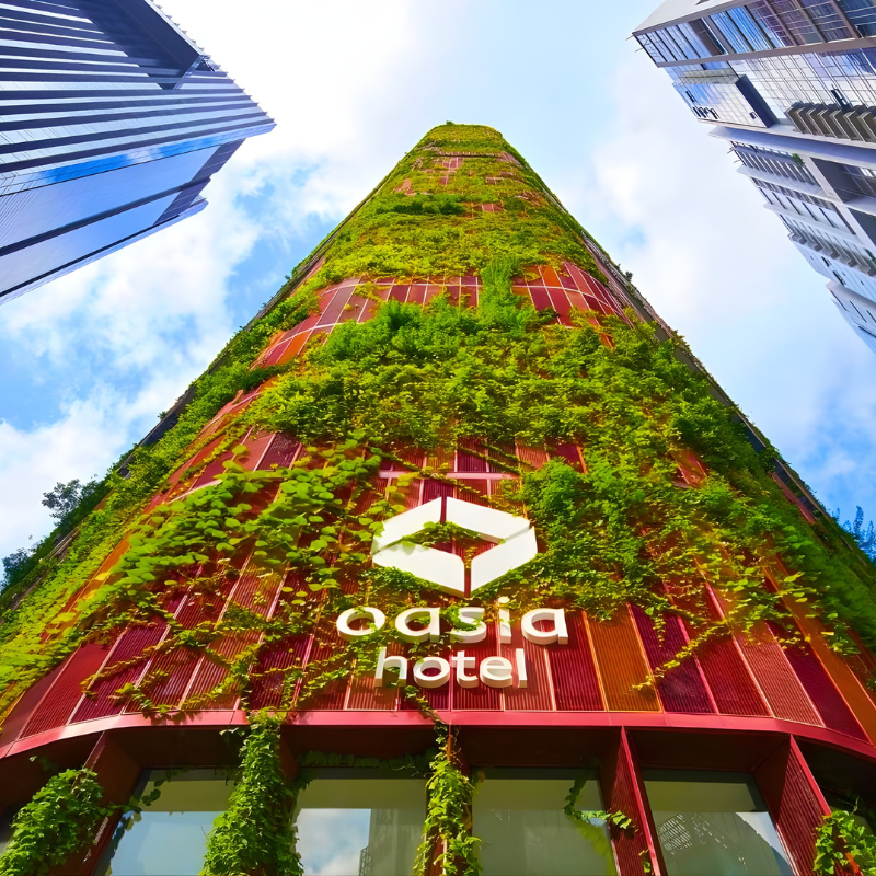 Singapore 7 2 WOLO Travel