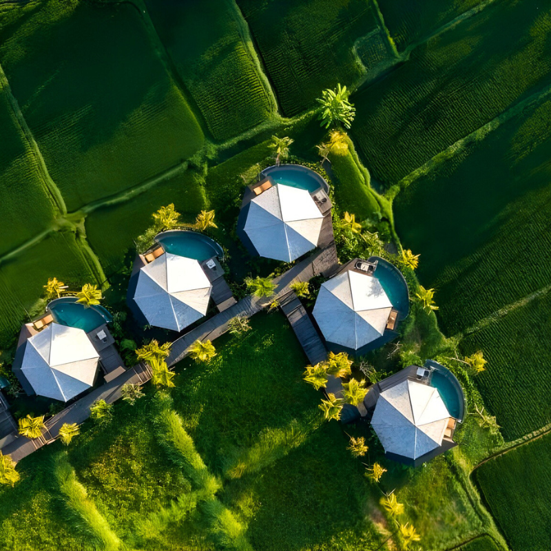The Wakanda Images Ubud 1 WOLO Travel